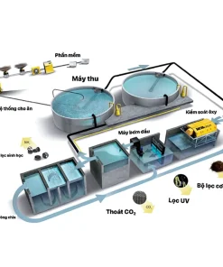 Hệ thống lọc tuần hoàn