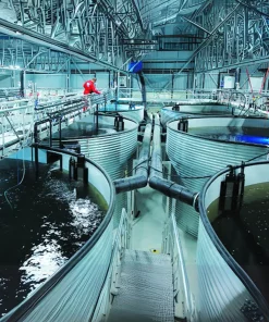 Hệ thống ương cá biển dạng đứng